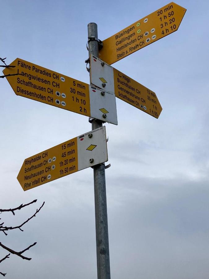Buesingen Am Hochrhein Radfahren, Wandern, Natur Geniessen Екстериор снимка