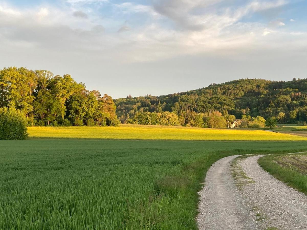 Buesingen Am Hochrhein Radfahren, Wandern, Natur Geniessen Екстериор снимка