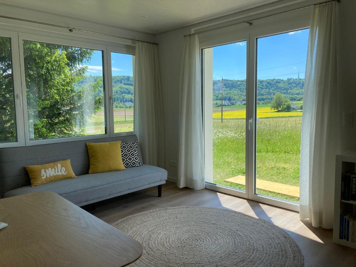 Buesingen Am Hochrhein Radfahren, Wandern, Natur Geniessen Apartment Екстериор снимка