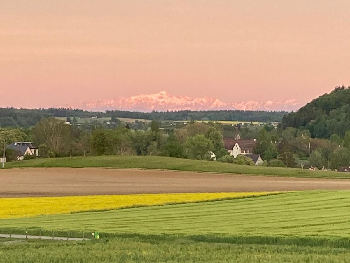 Buesingen Am Hochrhein Radfahren, Wandern, Natur Geniessen Apartment Екстериор снимка