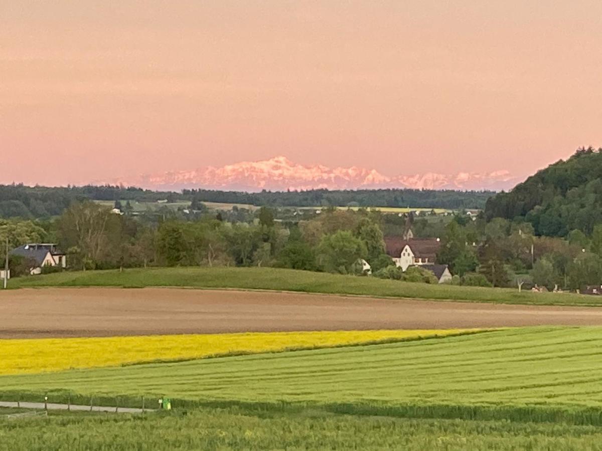 Buesingen Am Hochrhein Radfahren, Wandern, Natur Geniessen Екстериор снимка