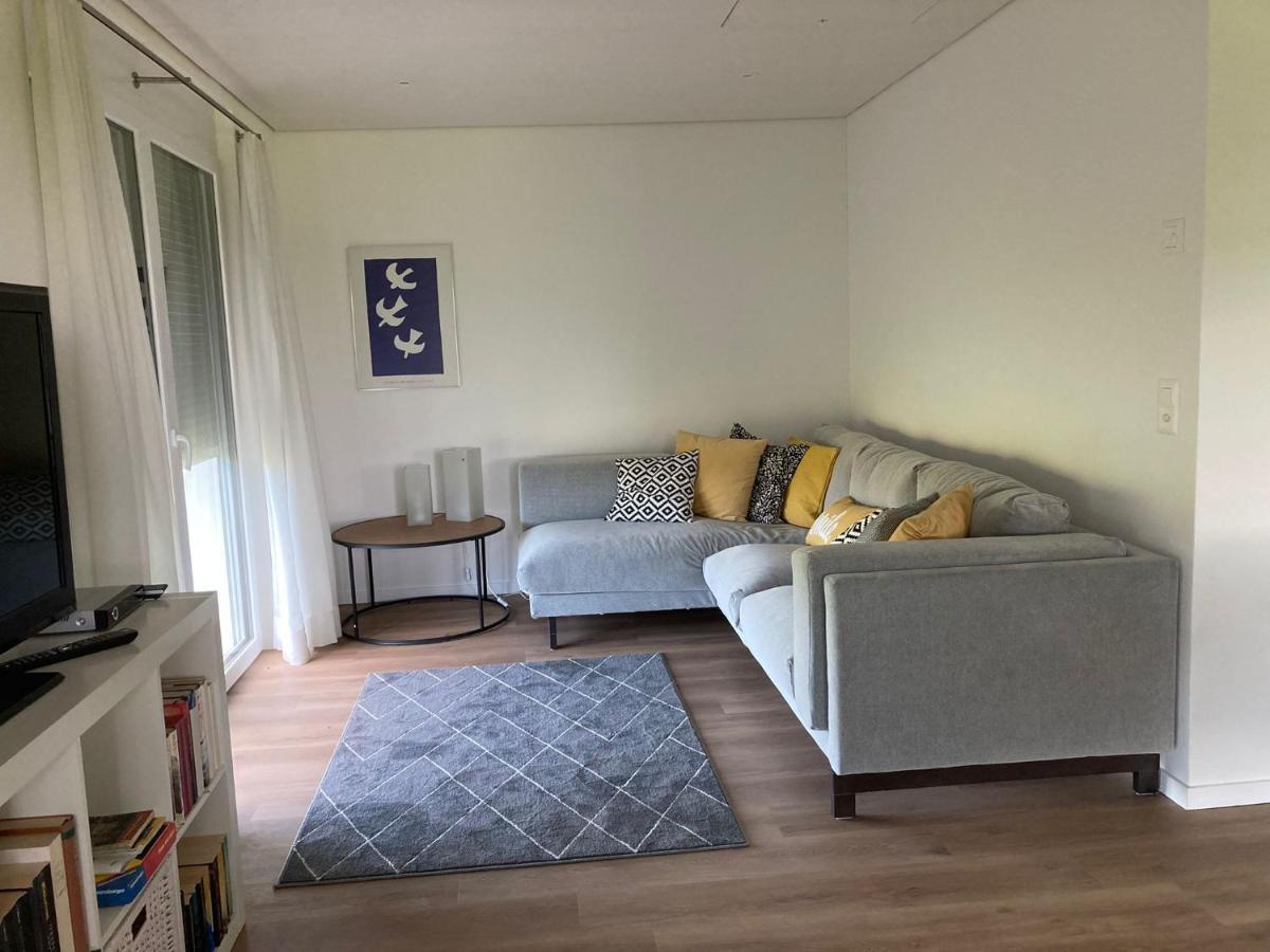 Buesingen Am Hochrhein Radfahren, Wandern, Natur Geniessen Apartment Екстериор снимка