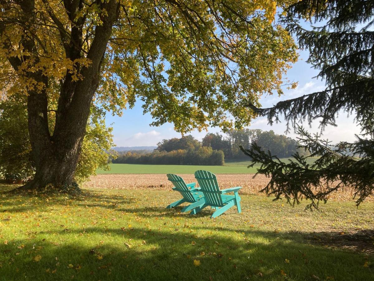 Buesingen Am Hochrhein Radfahren, Wandern, Natur Geniessen Apartment Екстериор снимка